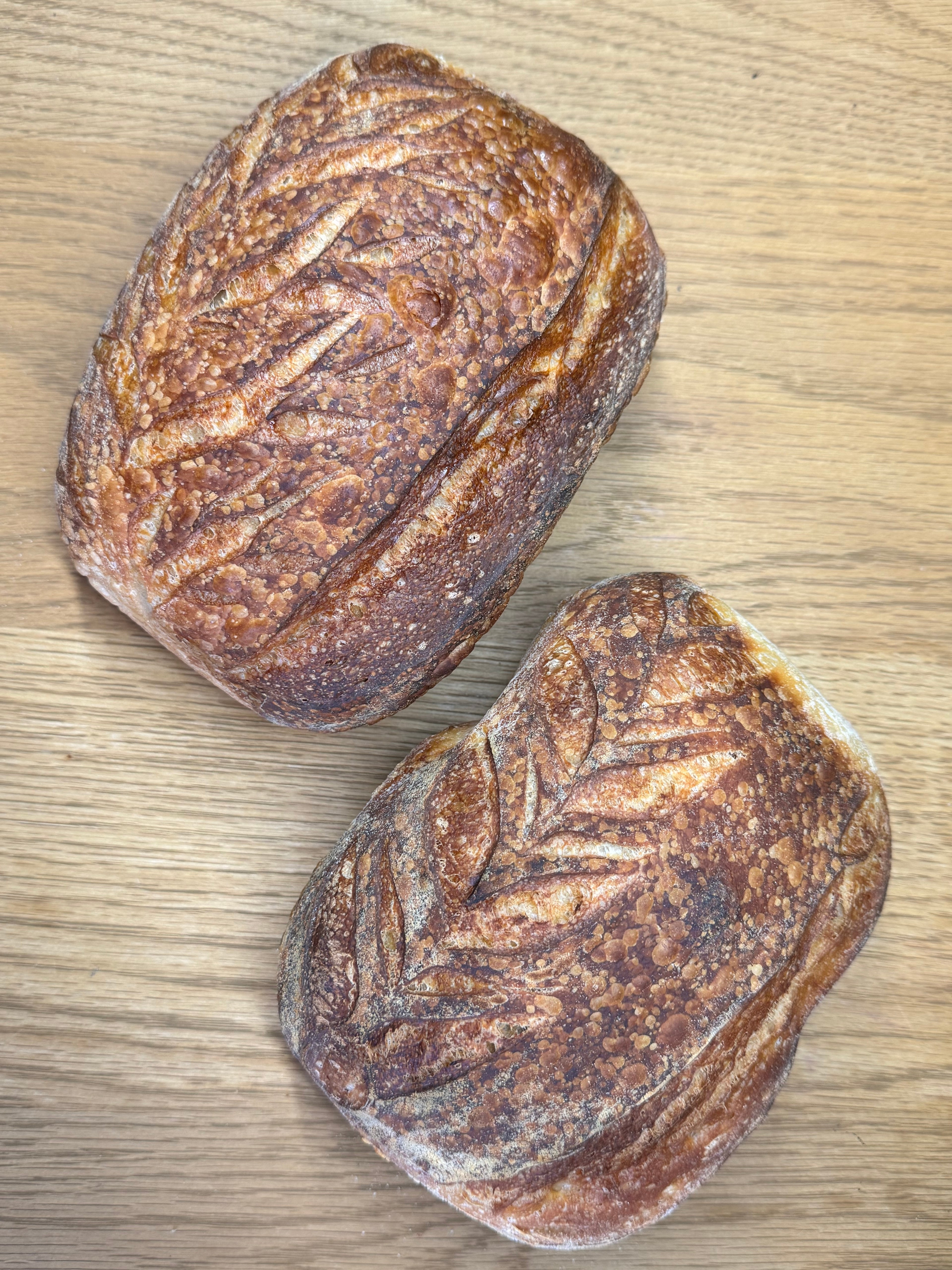 Classic Sourdough Loaf