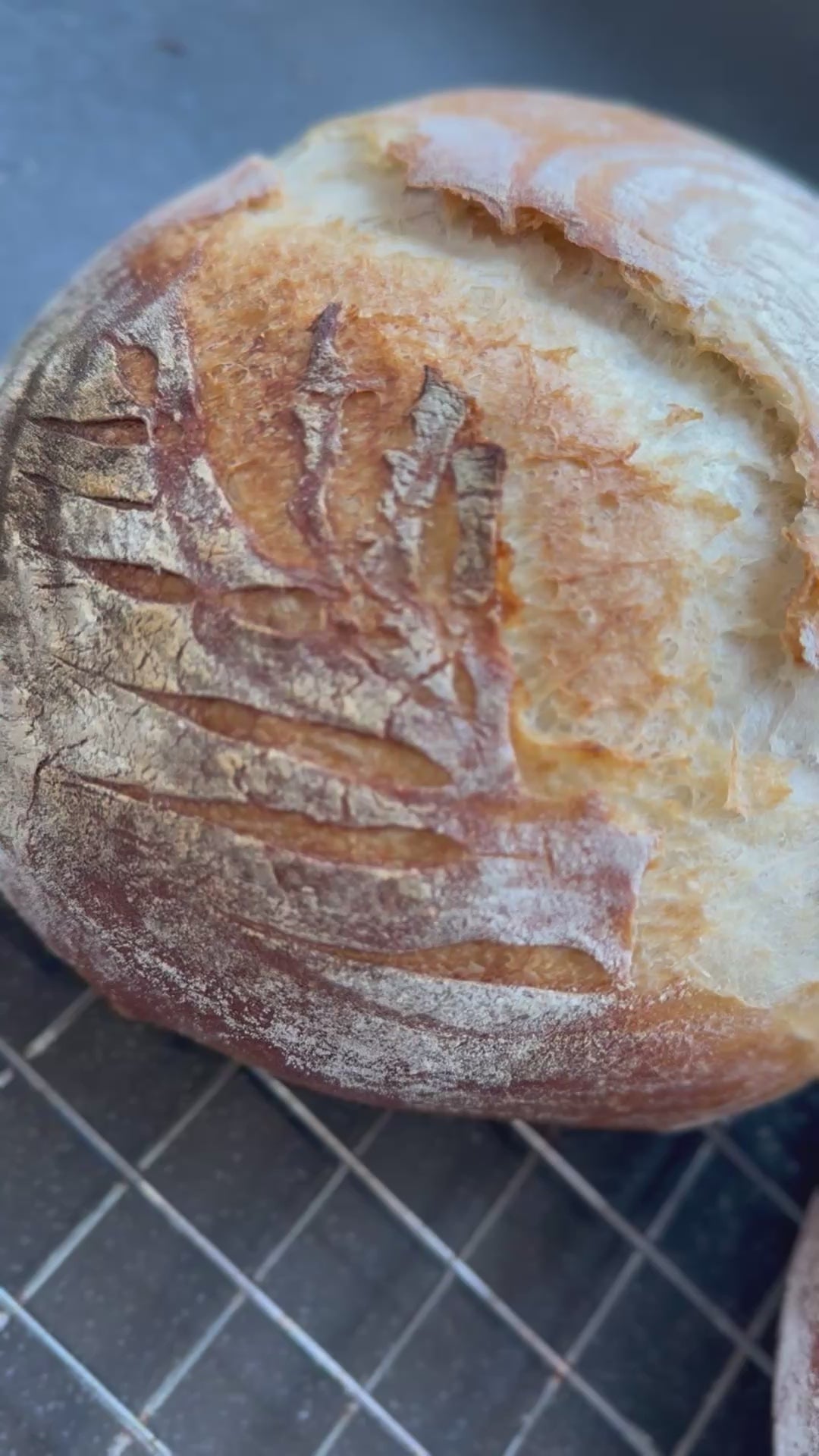Classic Sourdough Loaf